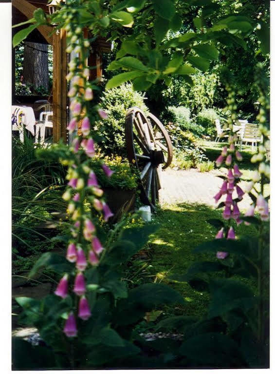 Hotel Villa Luise Bad Rothenfelde Buitenkant foto